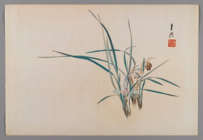 Orchids, album page from a Bird and Flower (Kacho) Book by Ogata Gekko